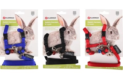 53FL201704 201704_V_01_1.jpg