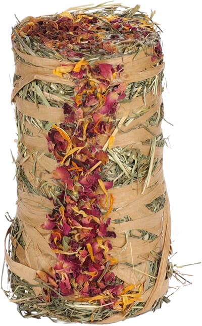 51FL210411 210411_E_01.jpg