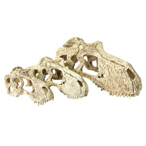 T-Rex skull XL, hodeskalle