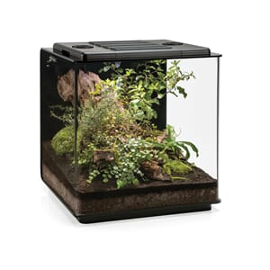 biOrb EARTH terrarium